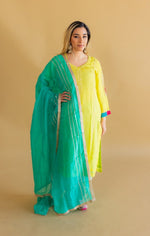 Neon Nights Organza Salwar Kameez