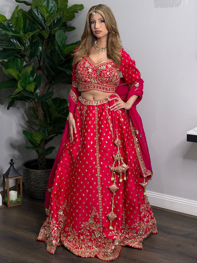 Velantri Pink Embellished Lehenga styled on a model for visual reference